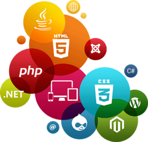 Web Development training