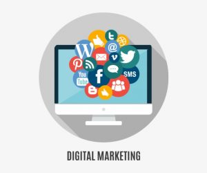 Digital Marketing Training